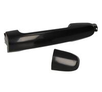 BLIC 6010-19-059403P Door Handle