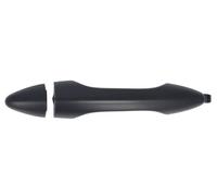 BLIC 6010-20-0568402P Door Handle