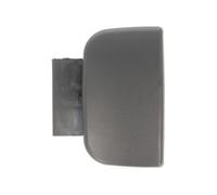 BLIC 6010-21-015405PP Door Handle