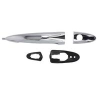 BLIC 6010-23-012401P Door Handle
