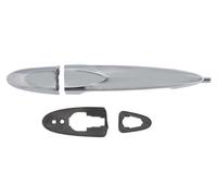 BLIC 6010-23-012402P Door Handle