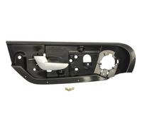 BLIC 6010-24-016401P Door Handle