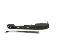 BLIC 6010-25-003403P Door Handle