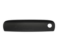 BLIC 6010-25-048401P Door Handle