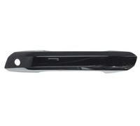 BLIC 6010-25-1875401P Door Handle