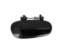 BLIC 6010-56-002404P Door Handle