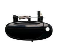 BLIC 6010-56-005401P Door Handle