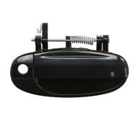 BLIC 6010-56-005402P Door Handle