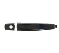 BLIC 6010-56-005405P Door Handle
