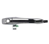 BLIC 6010-58-011401PP Door Handle