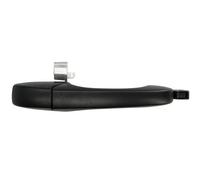 BLIC 6010-58-011402P Door Handle