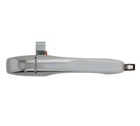 BLIC 6010-58-011402PP Door Handle