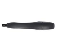 BLIC 6010-58-017410PP Door Handle