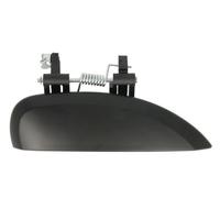 BLIC 6010-67-006402P Door Handle