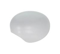 BLIC 6103-05-2001841P Housing, outside mirror for MINI
