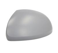BLIC 6103-10-2002265P Wing mirror housing