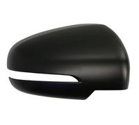 BLIC 6103-18-1384315P Wing mirror cover