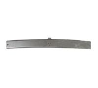 BLIC 6502-02-3525220P Front Cowling for MERCEDES-BENZ