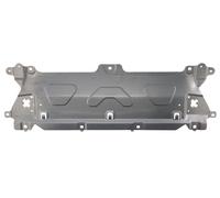 BLIC 6502-03-0097201P Cover, radiator grille