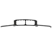 BLIC 6502-07-0060993P Trim/Protection Strip, radiator grille for BMW