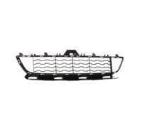 BLIC 6502-07-0070910P Bumper grill