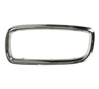 BLIC 6502-07-0075997P Trim/Protection Strip, radiator grille for BMW