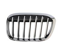 BLIC 6502-07-0082991P Radiator Grille