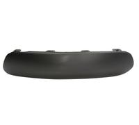 BLIC 6502-07-0519925P Trim/Protection Strip, bumper for CITROËN