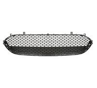 BLIC 6502-07-0941911P Radiator Grille