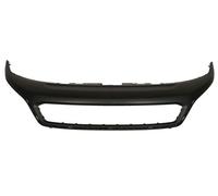 BLIC 6502-07-2053990P Trim/Protection Strip, radiator grille for FIAT