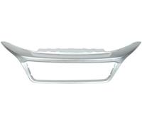 BLIC 6502-07-2098994P Trim/Protection Strip, radiator grille for FIAT