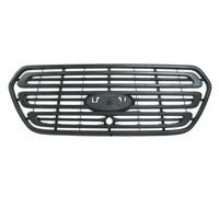 BLIC 6502-07-2518990P Radiator Grille for FORD