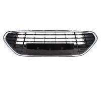 BLIC 6502-07-2556997P Ventilation Grille, bumper for FORD