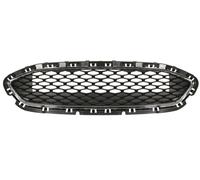 BLIC 6502-07-2566911P Radiator Grille