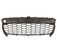 BLIC 6502-07-3497910P Bumper moulding