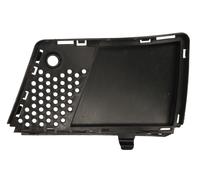 BLIC 6502-07-3553918P Bumper moulding