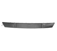 BLIC 6502-07-5024925Q Bumper moulding