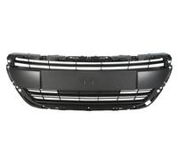 BLIC 6502-07-5509992P Radiator Grille for PEUGEOT