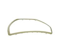 BLIC 6502-07-5509997P Trim/Protection Strip, radiator grille for PEUGEOT