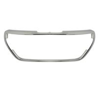 BLIC 6502-07-5509997PC Frame, radiator grille