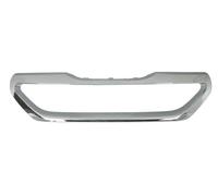 BLIC 6502-07-5516992P Trim/Protection Strip, radiator grille for PEUGEOT