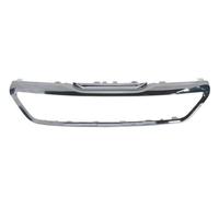 BLIC 6502-07-5519996P Trim/Protection Strip, radiator grille for PEUGEOT