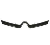 BLIC 6502-07-6009995P Trim/Protective Strip, radiator grille for RENAULT