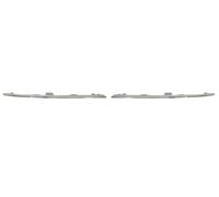 BLIC 6502-07-6012993P Trim / Protective Strip, radiator grille