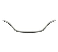 BLIC 6502-07-6013990P Trim / Protective Strip, radiator grille