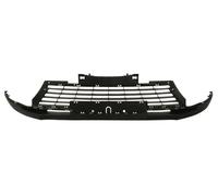 BLIC 6502-07-6047910P Radiator Grille