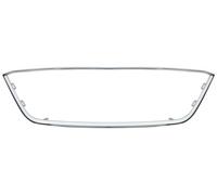 BLIC 6502-07-6622995P Trim/Protection Strip, radiator grille for SEAT