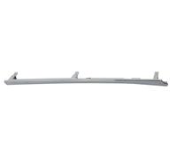BLIC 6502-07-6740996P Trim / Protective Strip, radiator grille