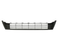 BLIC 6502-07-8119910P Bumper moulding