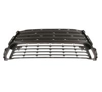 BLIC 6502-07-8173916P Bumper grill